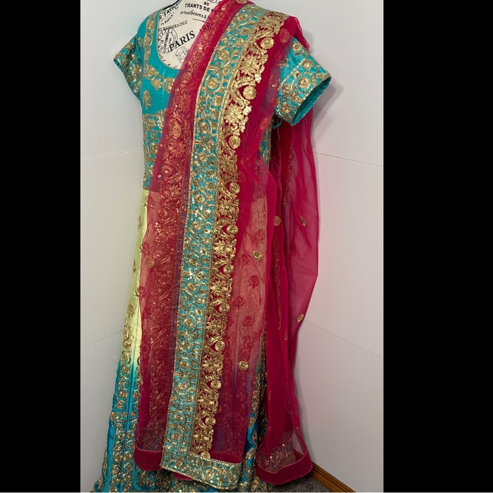 Beautiful Fancy Women’s Indian Ombre Party Dress Dupatta Bollywood Punjabi
